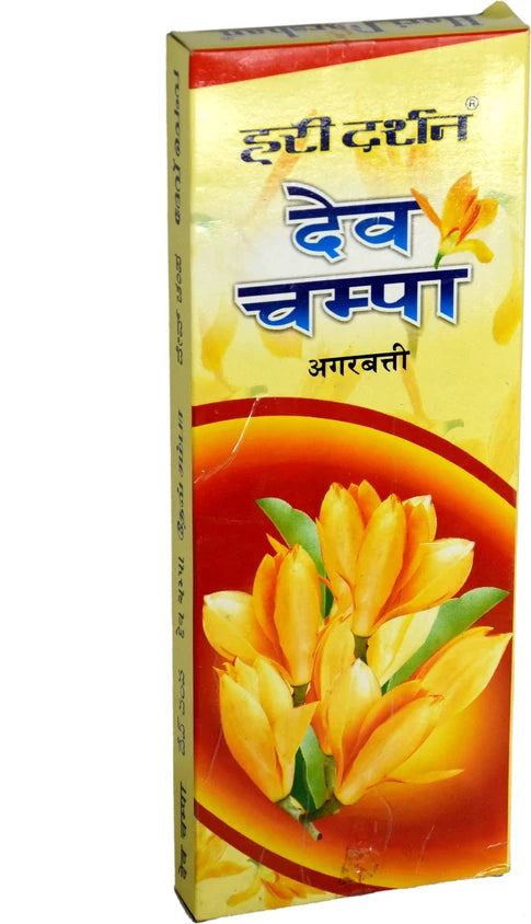 HARIDARSHAN CHAMPA 1PCS