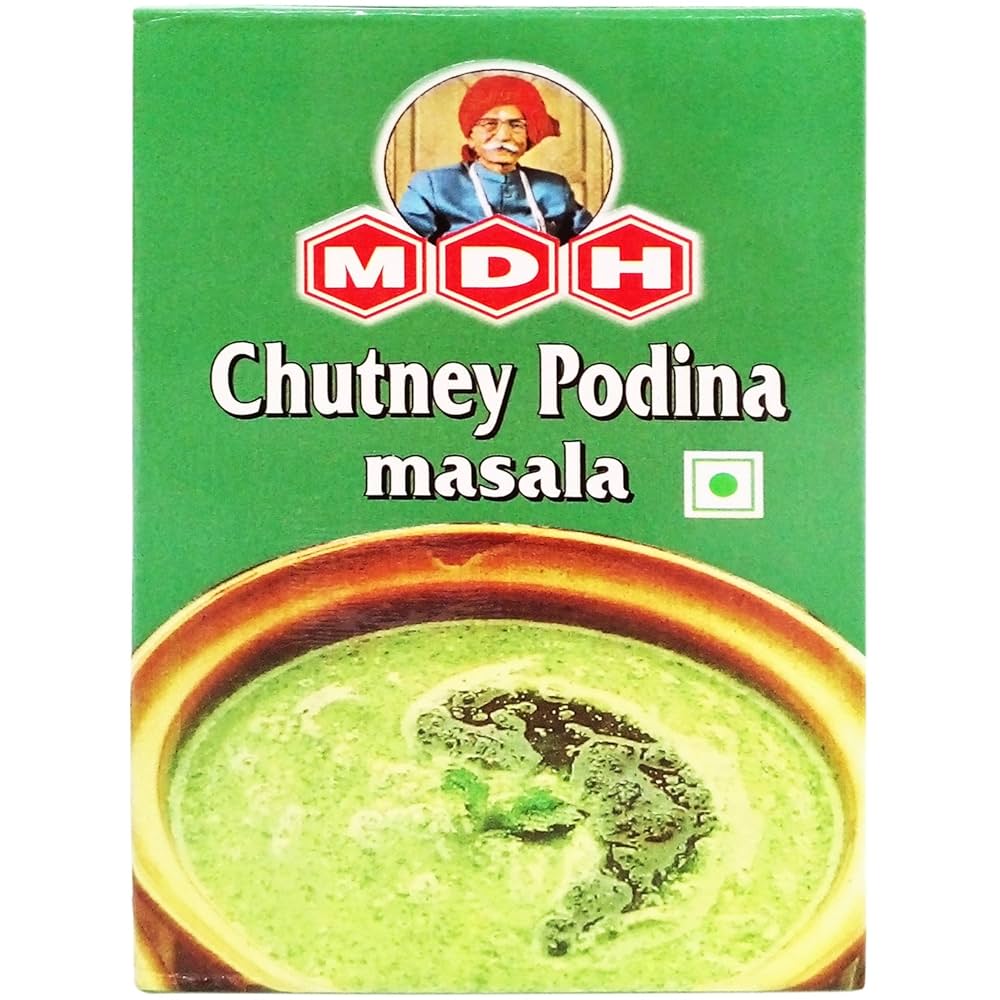 MDH CHUTNEY PODINA MASALA 100G