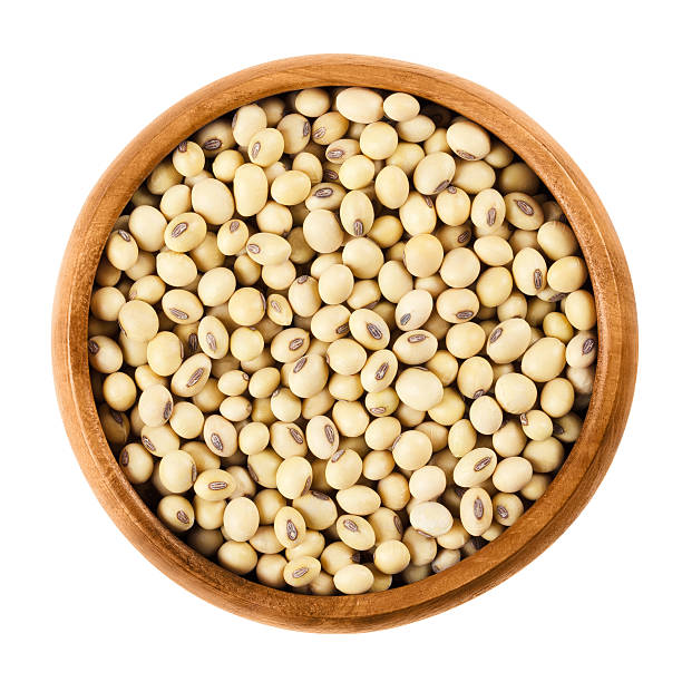 TJ SOYBEANS 1LB