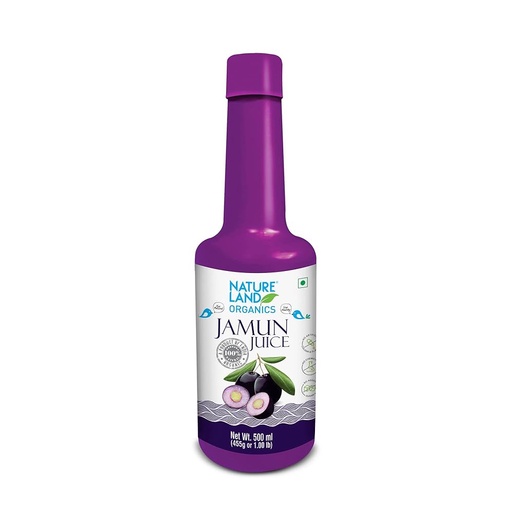 VS JAMUN JUICE 500ml