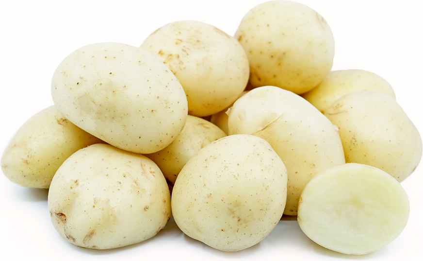 WHITE POTATO