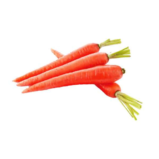 INDIAN RED CARROT