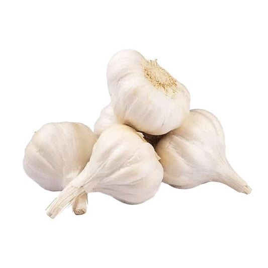 GARLIC (5 PACK BUNCH)