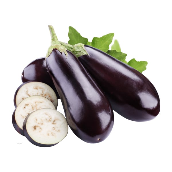 INDIAN EGGPLANT