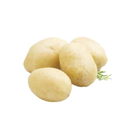 POTATO LOOSE WHITE