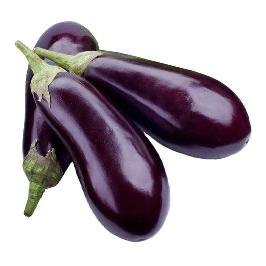 AMERICAN EGGPLANT