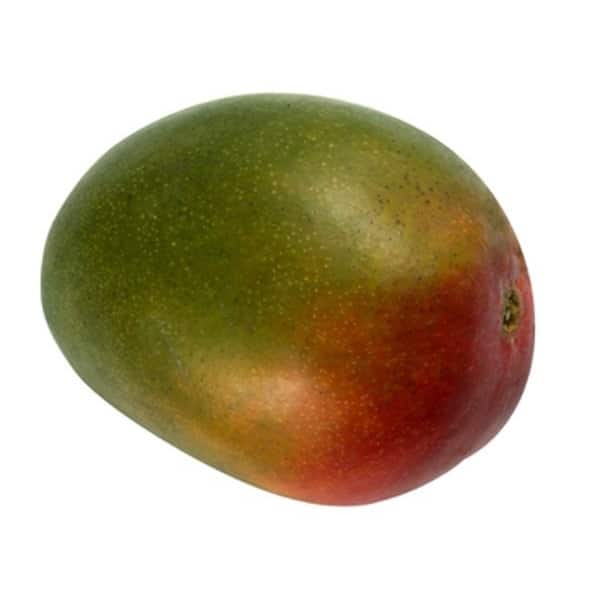 KENT MANGOES (8 COUNTS)