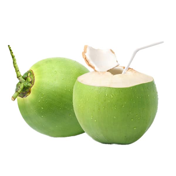 COCONUT (YOUNG)