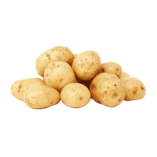 POTATO WHITE