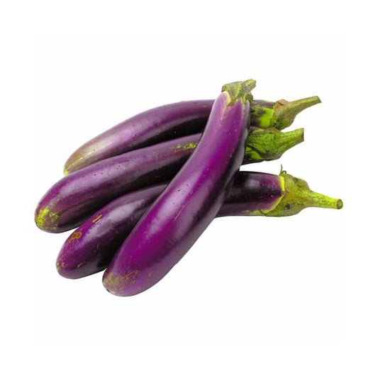 CHINESE EGG PLANT