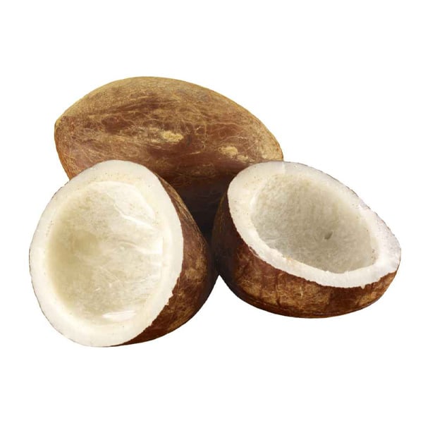 GAZAB HALF COCONUT