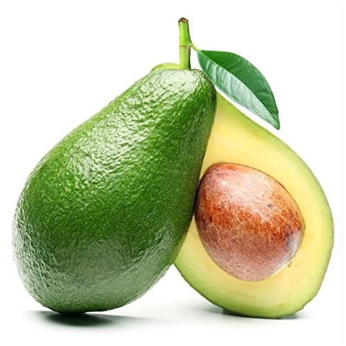 AVOCADO