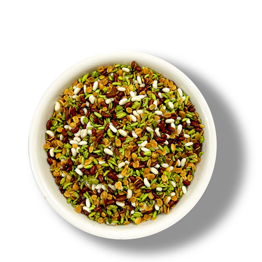 ADANI GUJARATI MUKHWAS 7OZ