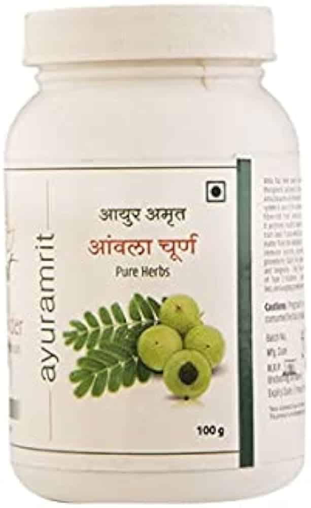 AMRUT AMLA POWDER 100G