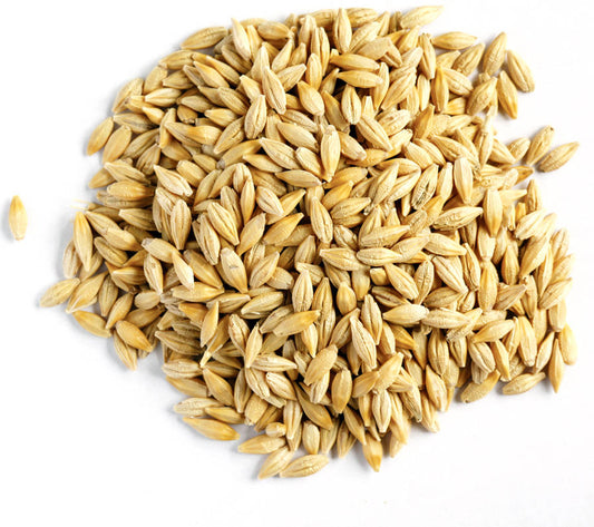 ANK WHOLE-BARLEY 2LB