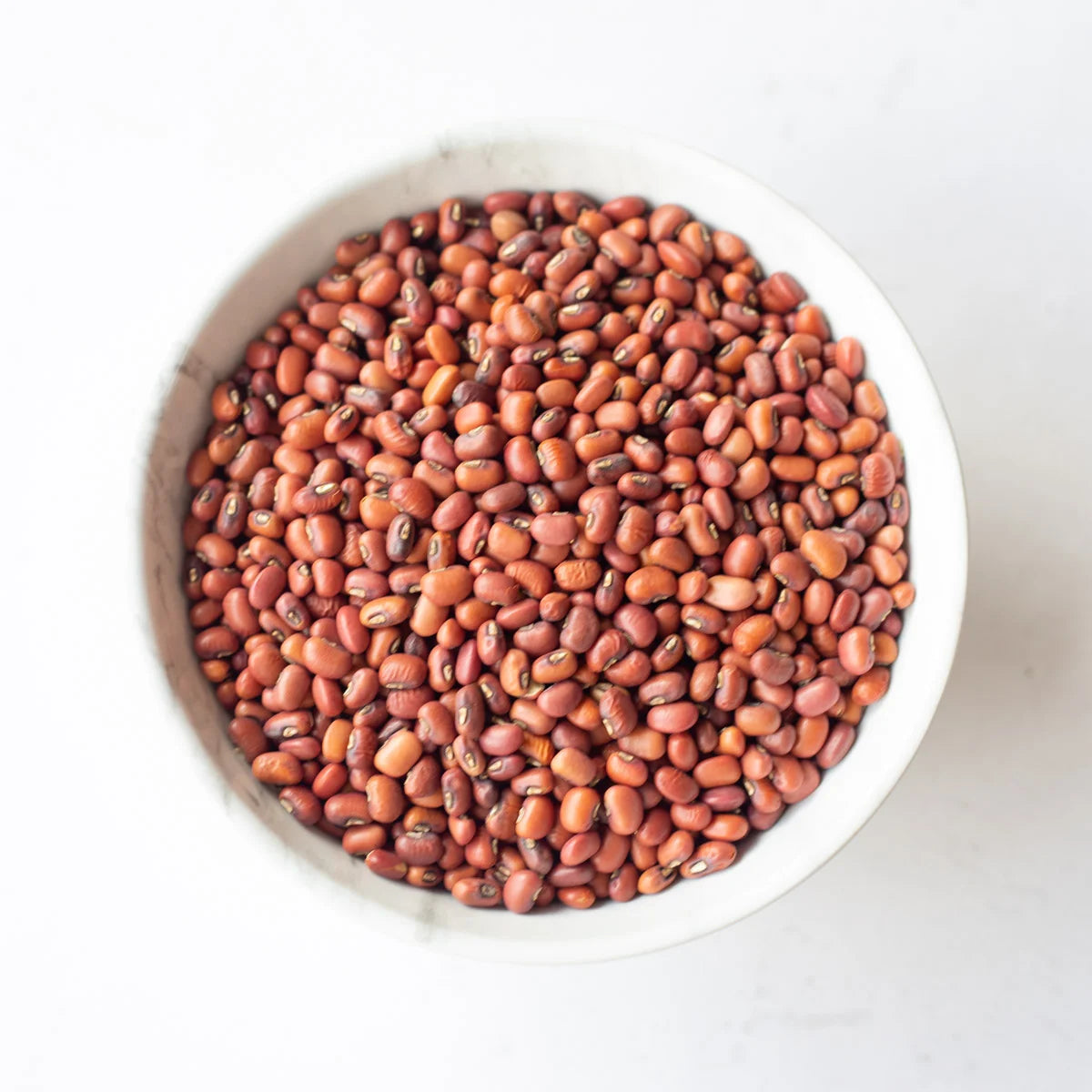 APNA RED CHORI 2lb