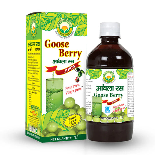 BASICAYUR GOOSE BERRY 16OZ