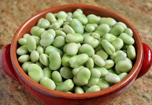 FAM FAVA BEANS 400g