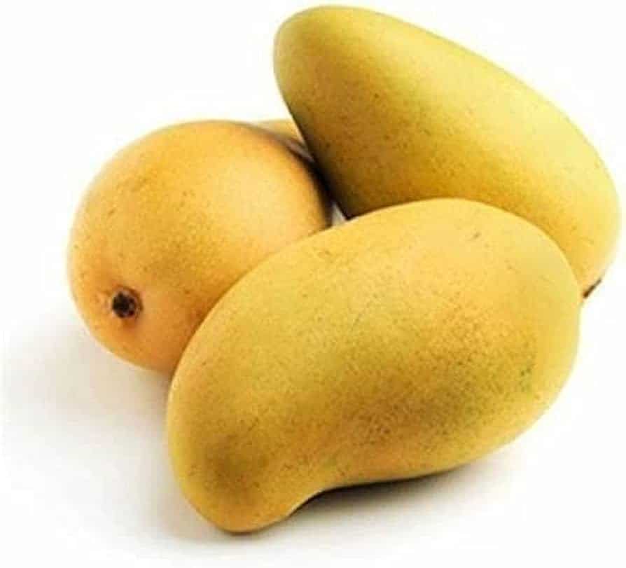 GANESH KESAR MANGO 6 PACK