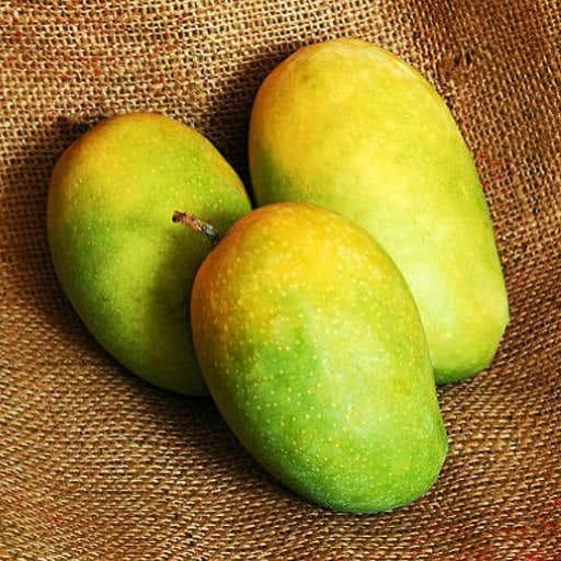 Kathiyawadi Kesar Mango 850g