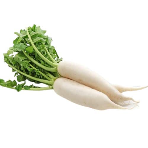 DAIKON (MULLI)