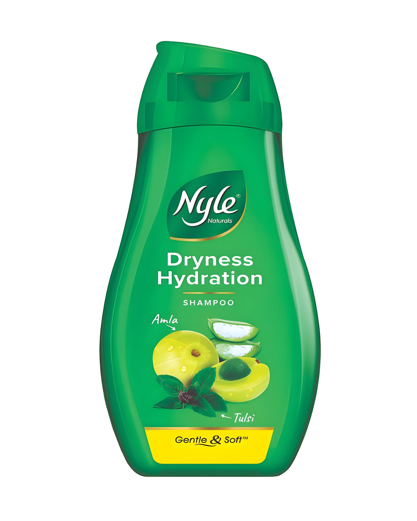 NYLE SHAMPOO DRYNESS
