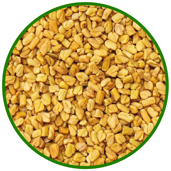 RD FENUGREEK SEEDS 4LB