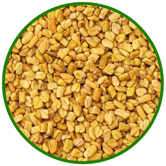 RD FENUGREEK SEEDS 7OZ